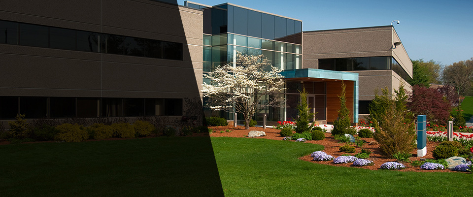 Millsboro Landscapers