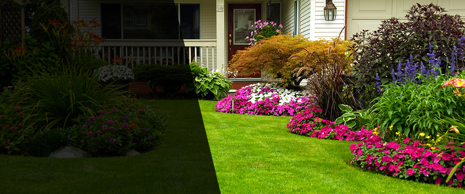 Millsboro Landscapers