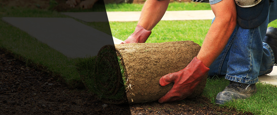 Millsboro Landscapers